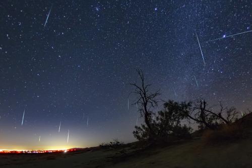 Geminid Meteor Shower Trees Sky City Lights