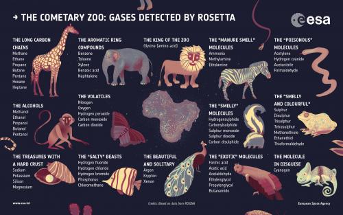 Molécules détectées dans l'atmosphère de Chury, ici représentées par des animaux