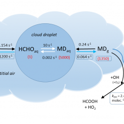 Schematic representation of in-cloud processes